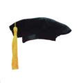 4 in 1 Master in Business Administration MBA graduation toga .